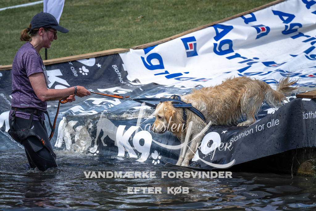 1118_ZZ91821 | kk-dogfotos