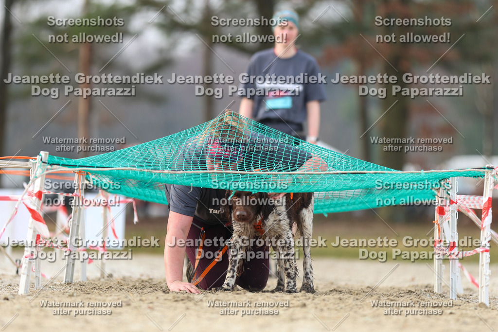 Dog Paparazzi - Strongdog North Mrz26-4326 | Dog Paparazzi Jeanette Grottendiek Fotografie & Videografie - Realisiert mit Pictrs.com