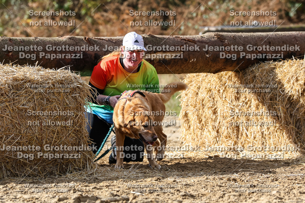 Dog Paparazzi - Strongdog 10-25-5092 | Dog Paparazzi Jeanette Grottendiek Fotografie & Videografie - Realisiert mit Pictrs.com