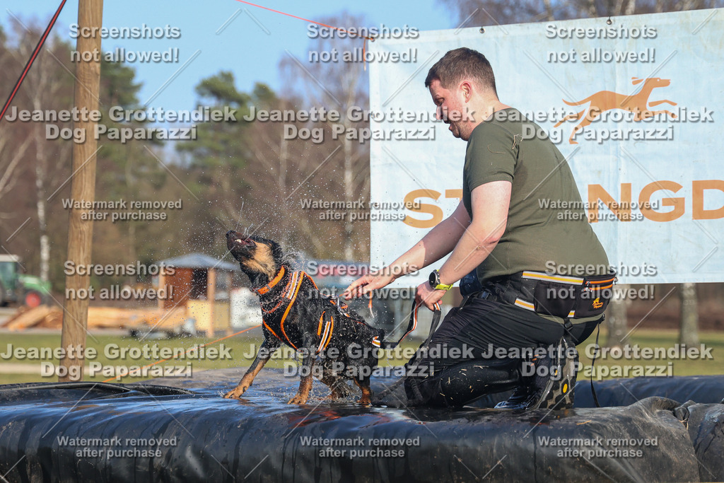 Dog Paparazzi - Strongdog North Mrz26-3585 | Dog Paparazzi Jeanette Grottendiek Fotografie & Videografie - Realisiert mit Pictrs.com