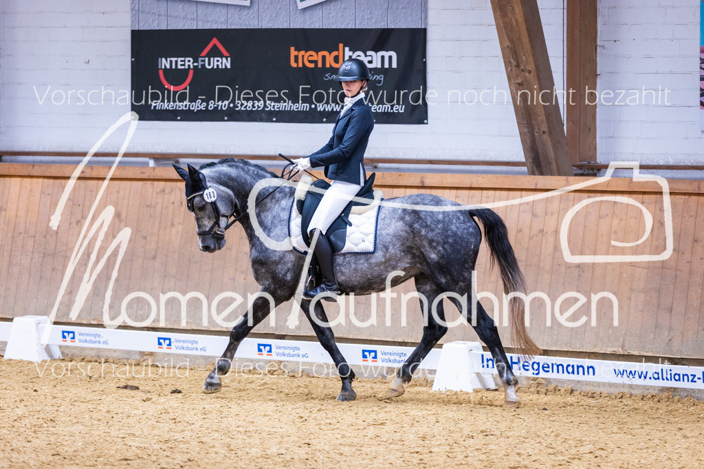 Sth-A-Dre-2St-193 | MomenTaufnahmen Pferdesportfotos