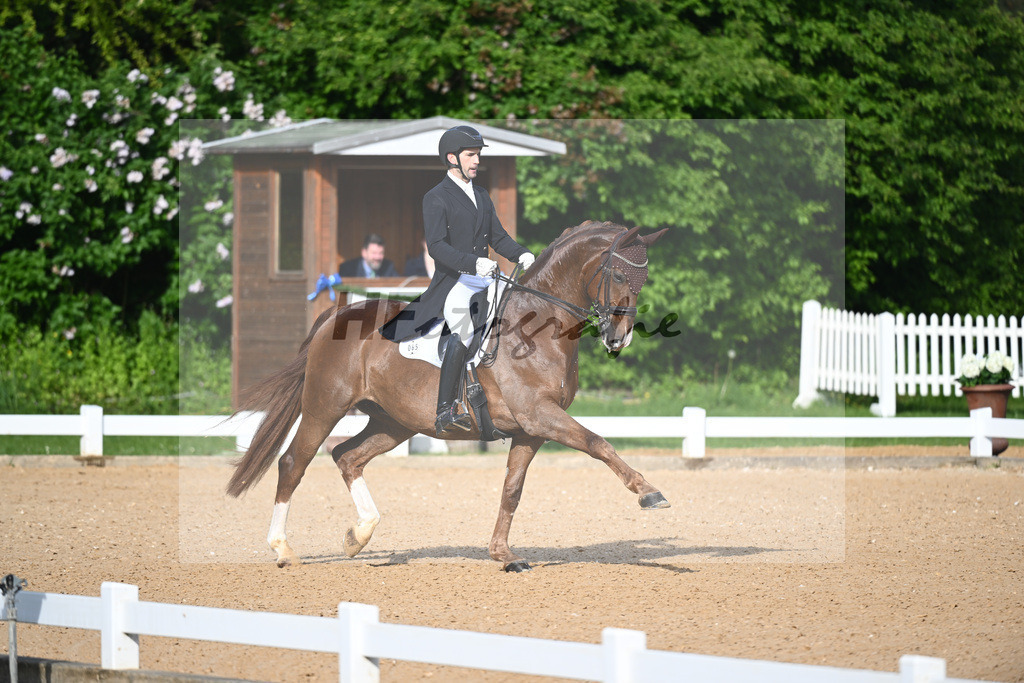 Csaki_Daro_12241530 | hf-fotografie - Realisiert mit Pictrs.com