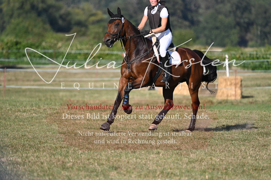 DSC_9027 | Pferde- und Turnierfotografie in Westsachsen. Pferdeportraits, Auftragszeichnungen und intuitive Kunst.