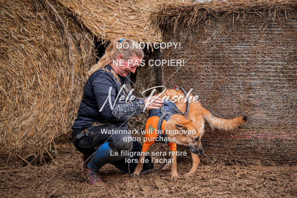 nelerasche_Hunsrück_So09-11_359 | nelerasche