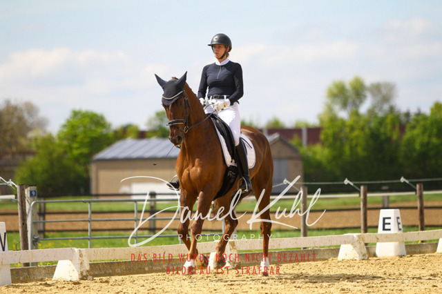 DKP43175 | Turniersportfotografie; Pferdefotografie; Dressurfotografie