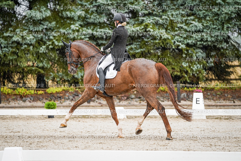 DSC09296 | Pferdegrafie