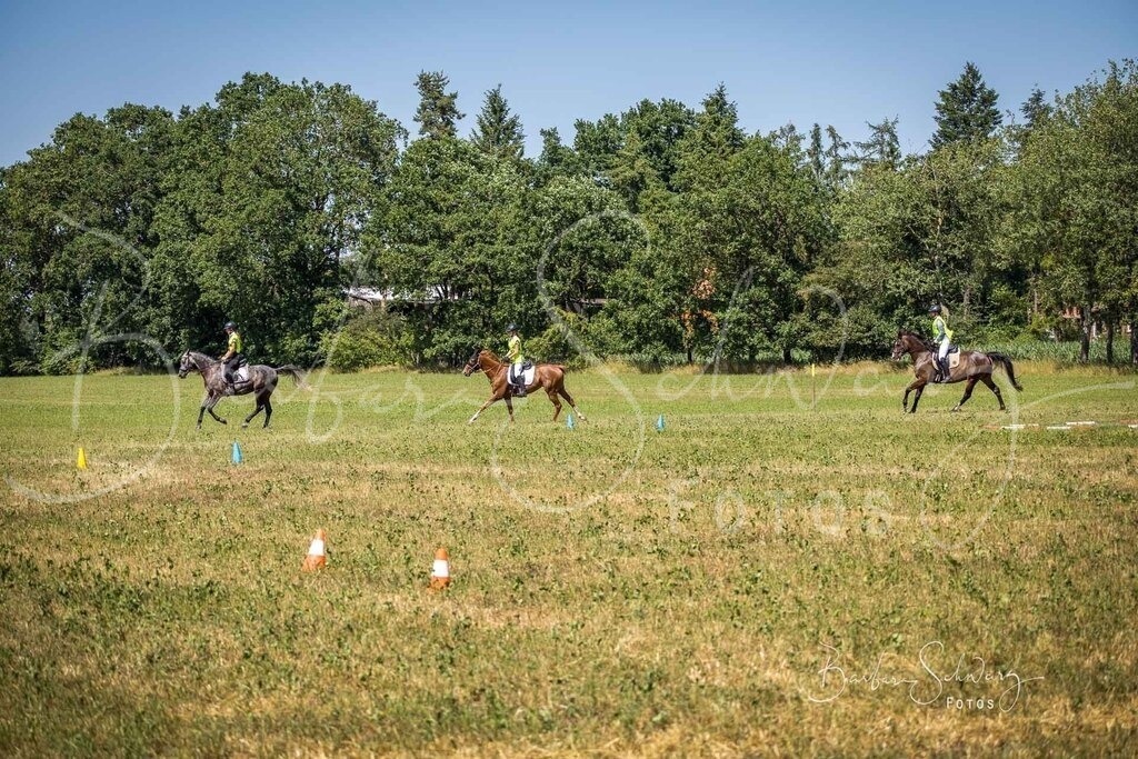 CJP_2026-06-26_84 | Stimmungsvolle Fotografie von Pferden, fotografische Begleitung von Veranstaltungen, Golfturnieren und Distanzritten - Realisiert mit Pictrs.com