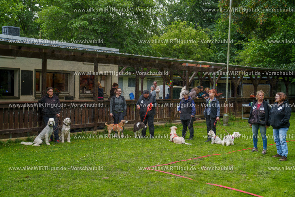 @allesWIRTHgut_Tierfotografie - www.allesWIRTHgut.de - 7R503903 | Professionelle Tierfotografie in Mönchengladbach von Daniel Wirth (allesWIRTHgut). Liebevolle & natürliche Bilder von Hunden & Katzen für unvergessliche Erinnerungen.