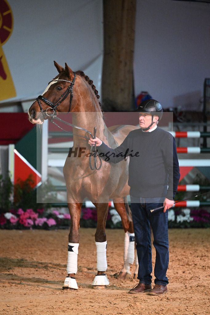 Don Diamond_1235077 | hf-fotografie - Realisiert mit Pictrs.com