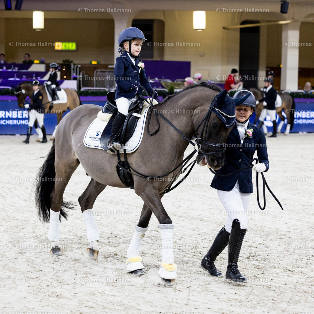 TH_Nürnberger Burgpokal Führzügelwettbewerb_13230 | Nürnberger Burgpokal Führzügelwettbewerb beim Festhallen Reitturnier Frankfurt 2023 am 15.12.23 in Frankfurt, Festhalle