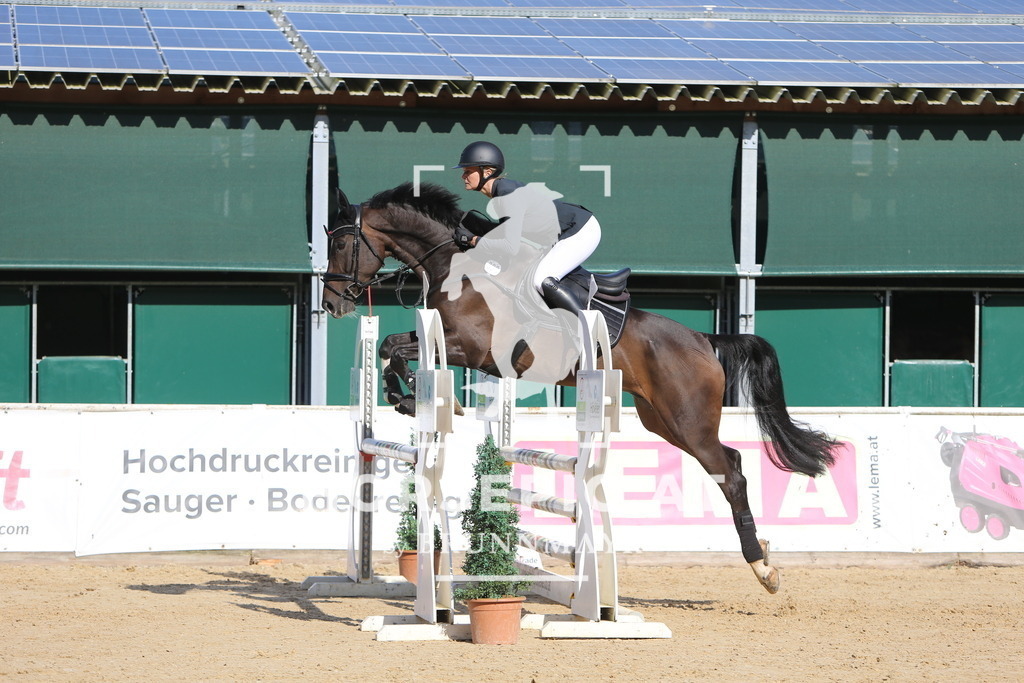 DL2Q5246 | Willkommen bei Brunnmayr - Design & Fotografie – Ihrem Spezialisten für Reitturniere und Pferdeveranstaltungen in Oberösterreich, Salzburg und Bayern! Seit über 17 Jahren sind wir leidenschaftlich dabei.