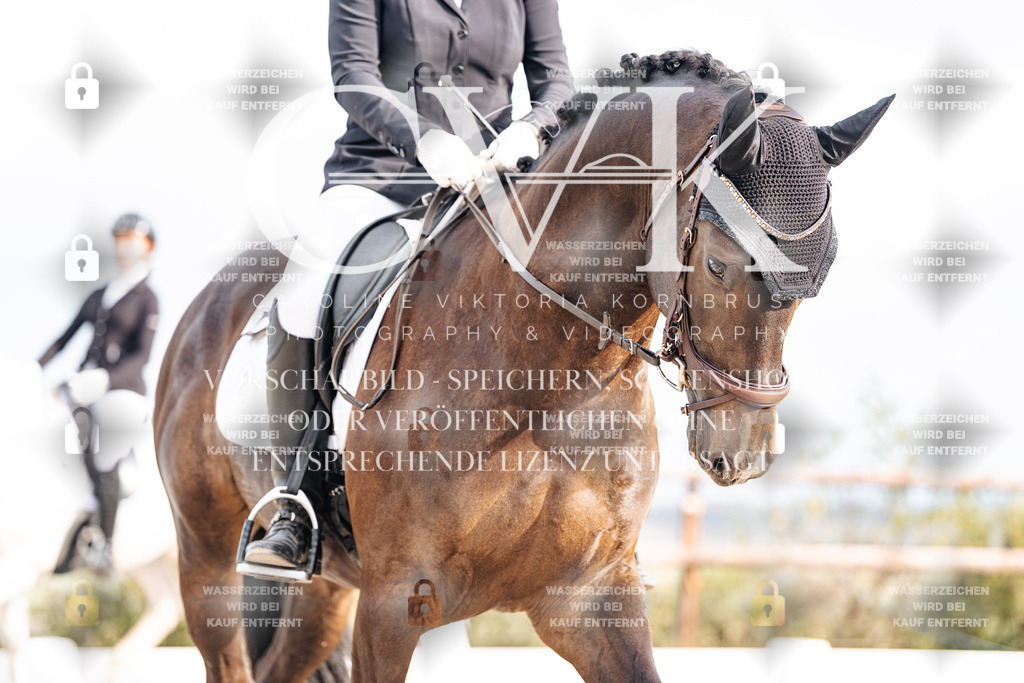 CK901248 | Turnierfotografie Pferdefotografie Trier Rheinland-Pfalz Pferdesport Reitsport Tierfotografie Sportfotografie Pferdevideo Pferdevideografie Equestrianvideography equestrianphotography  - Realisiert mit Pictrs.com