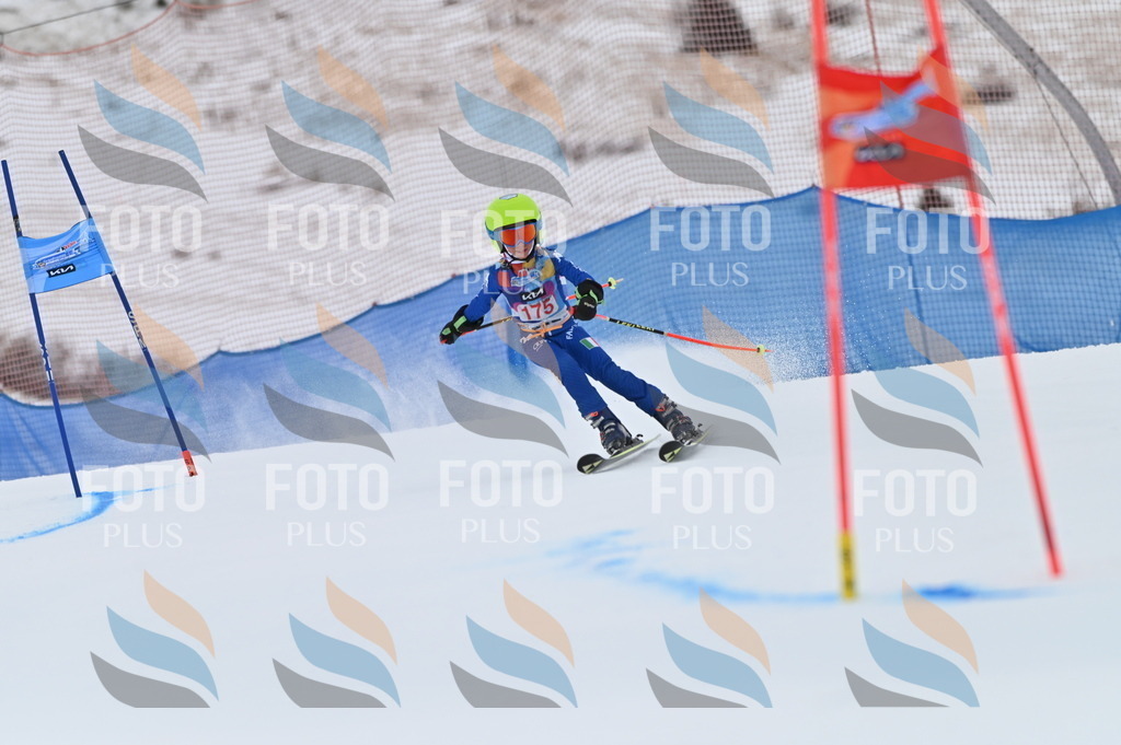 BGV_0832 | holidayphoto