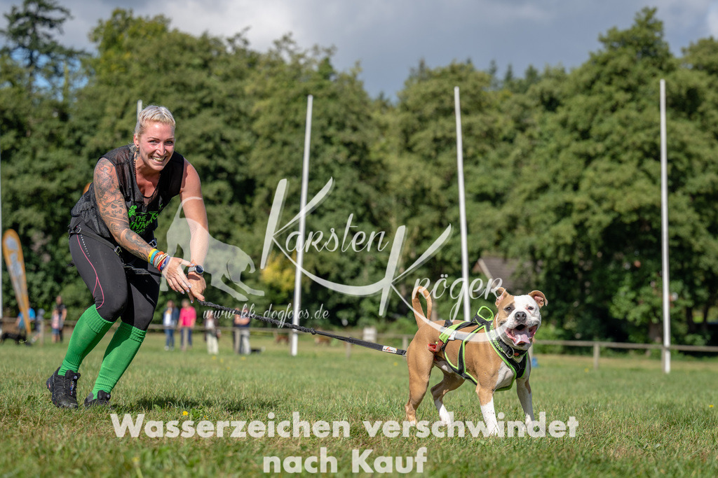 1119_ZZ94546 | kk-dogfotos
