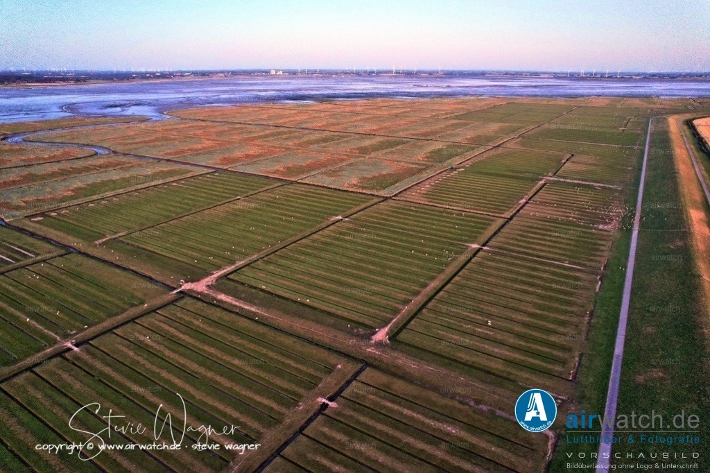 Nordsee, Nordfriesland, Nordstrand, Pohnshalligkoog - airwatch.de | Der Pohnshalligkoog umfasst eine Fläche von etwa 695 Hektar und ist der östlichste und zweitgrößte Koog der Halbinsel Nordstrand. Die Eindeichung des Pohnshalligkoogs war 1924 abgeschlossen. Trotz der Schwierigkeiten bei der Errichtung des Deiches und des verschlammten Bodens konnten die ersten Pächter 1924 den Koog übernehmen. Fünf Jahre nach der Eindeichung wurden die Pachtverträge jedoch aufgelöst und das gesamte Land der “Gemeinnützigen Siedlungsgesellschaft Deutscher Osten” übergeben.