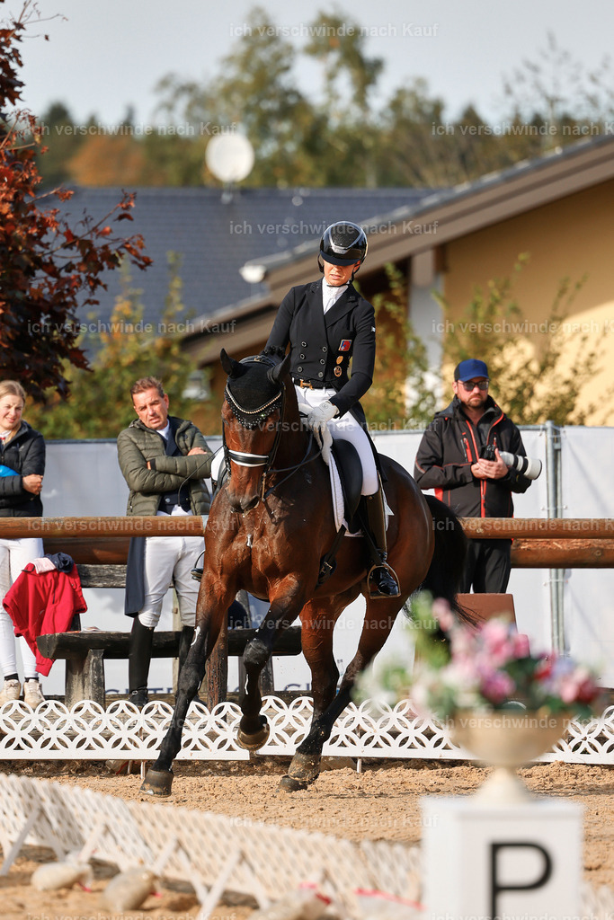 13-110-S___ -StoibPH-6943 | working equitationturnier fotograf videograf stoibphotography marixx film working equitation deutschland reitsport turnierfotografie eventfotografie equestrian events