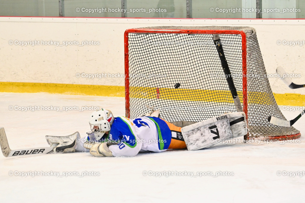  EC Tigers Paternion vs. EC Virgen 8.1.2022 | #50 Berger Matthias, Tor EC Tigers Paternion