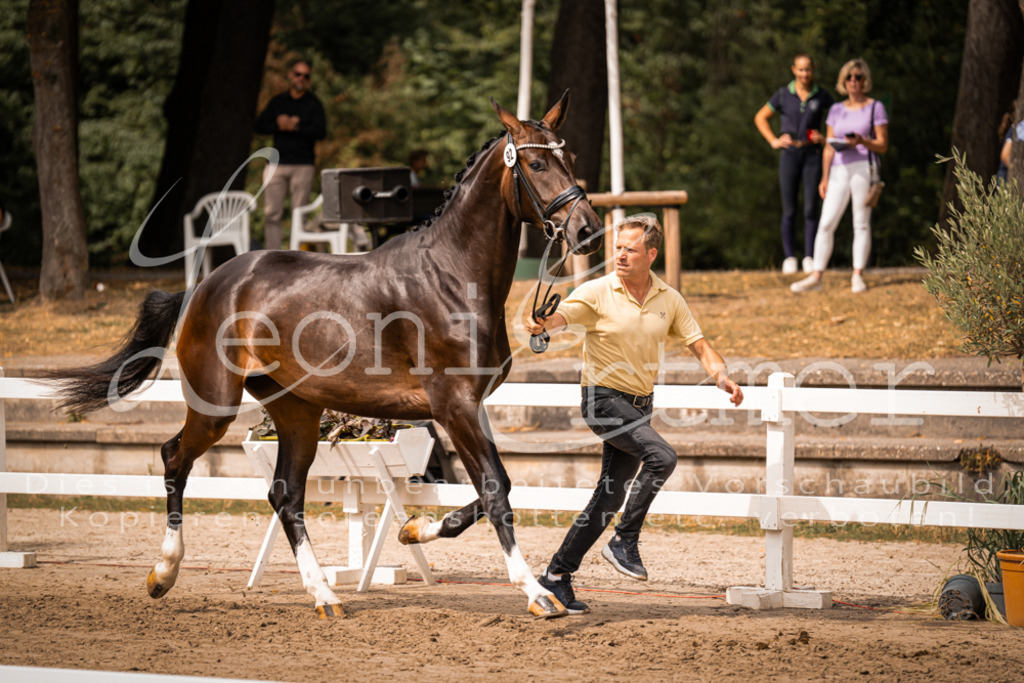 6.Fr00022 | Leoni Ertmer Photography - Realisiert mit Pictrs.com