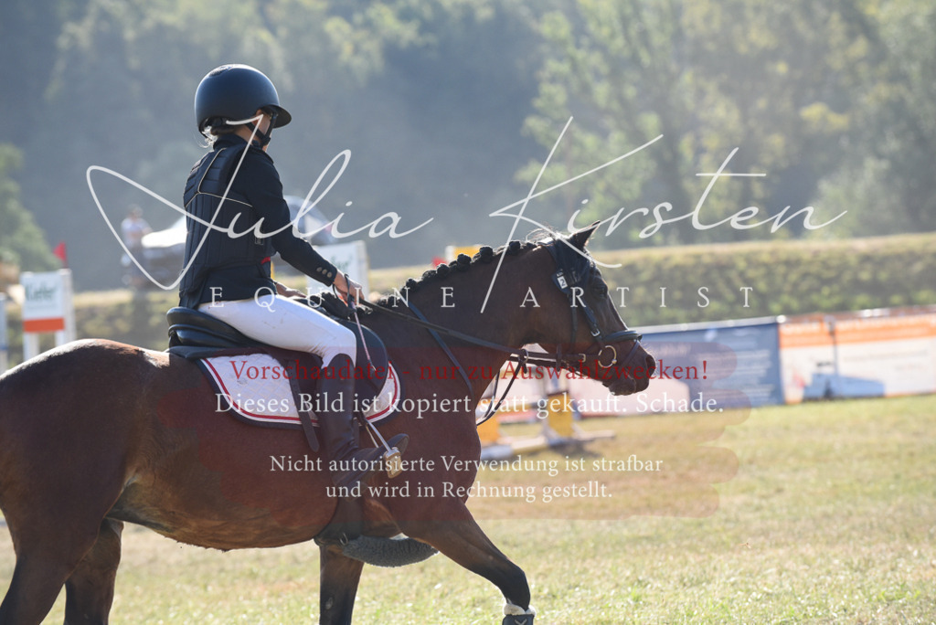 DSC_5775 | Pferde- und Turnierfotografie in Westsachsen. Pferdeportraits, Auftragszeichnungen und intuitive Kunst.