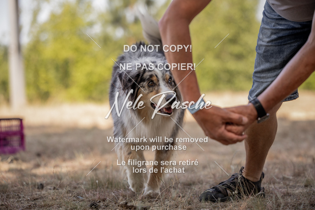 nelerasche_soDD2_90 | nelerasche