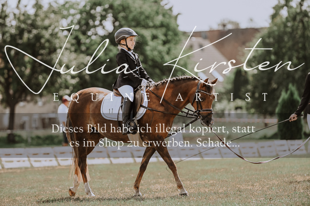 DSC_7593 | Pferde- und Turnierfotografie in Westsachsen. Pferdeportraits, Auftragszeichnungen und intuitive Kunst.
