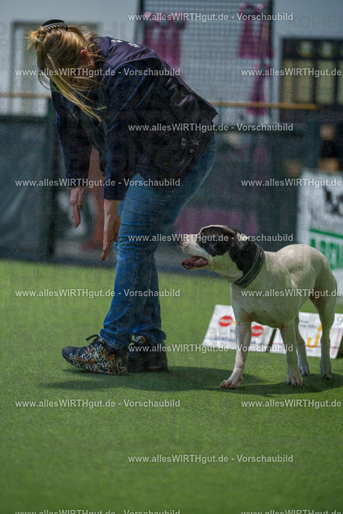 7R507778 | Professionelle Tierfotografie in Mönchengladbach von Daniel Wirth (allesWIRTHgut). Liebevolle & natürliche Bilder von Hunden & Katzen für unvergessliche Erinnerungen.