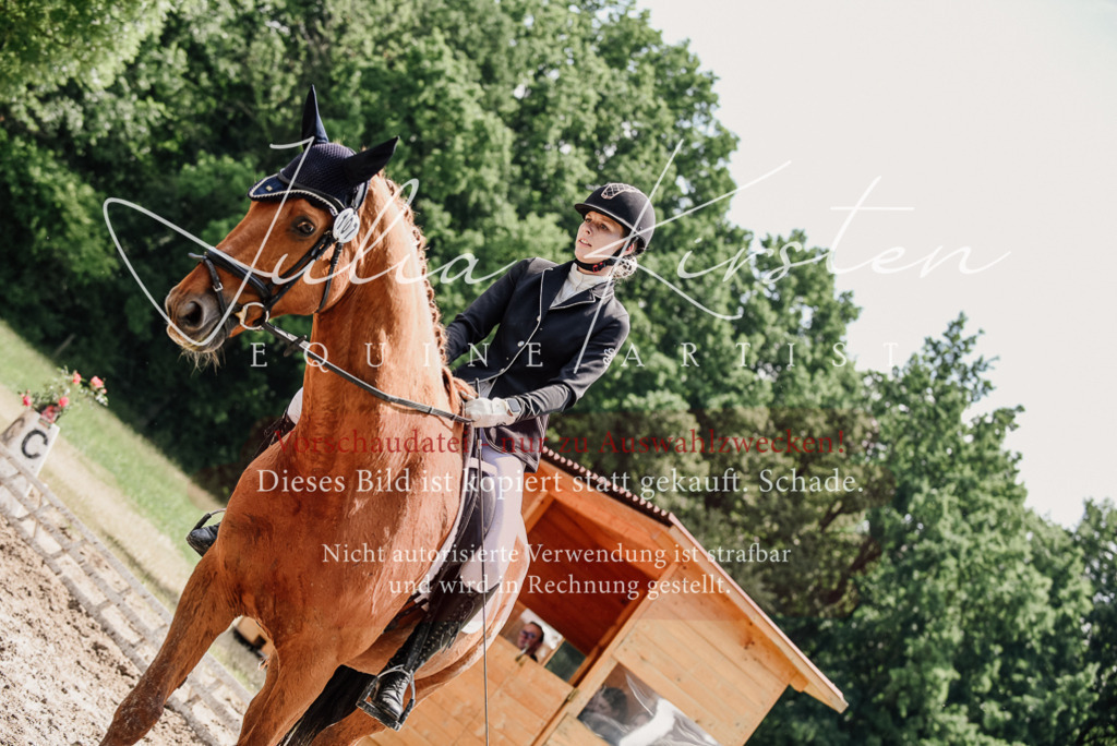 DSC_1553 | Pferde- und Turnierfotografie in Westsachsen. Pferdeportraits, Auftragszeichnungen und intuitive Kunst.