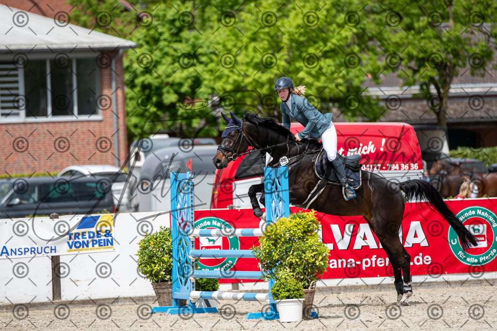 KPT_5611 | andre_photographic