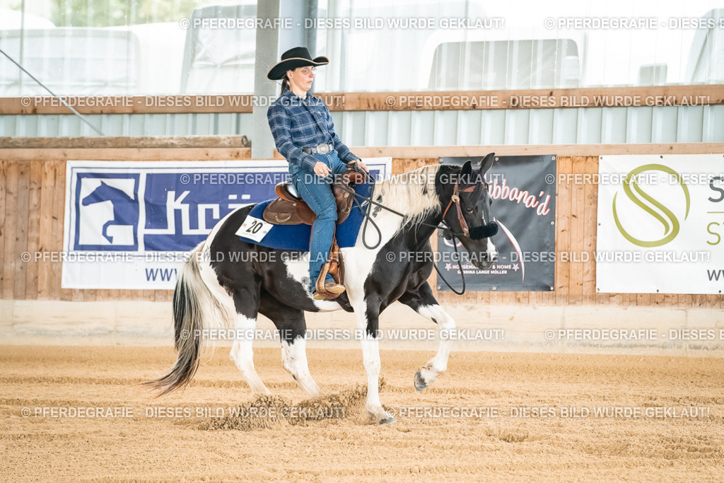 DSC02717 | Pferdegrafie