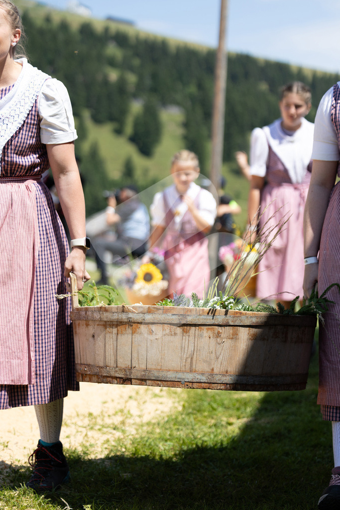 Rigi2025_2102 | Die Schwinger des Schwyzer Kantonalen Schwingerverbandes: Fotos, die Dynamik und Leidenschaft festhalten, sowie emotionale Momente aus dem traditionellen Schwingsport zeigen. - Realisiert mit Pictrs.com