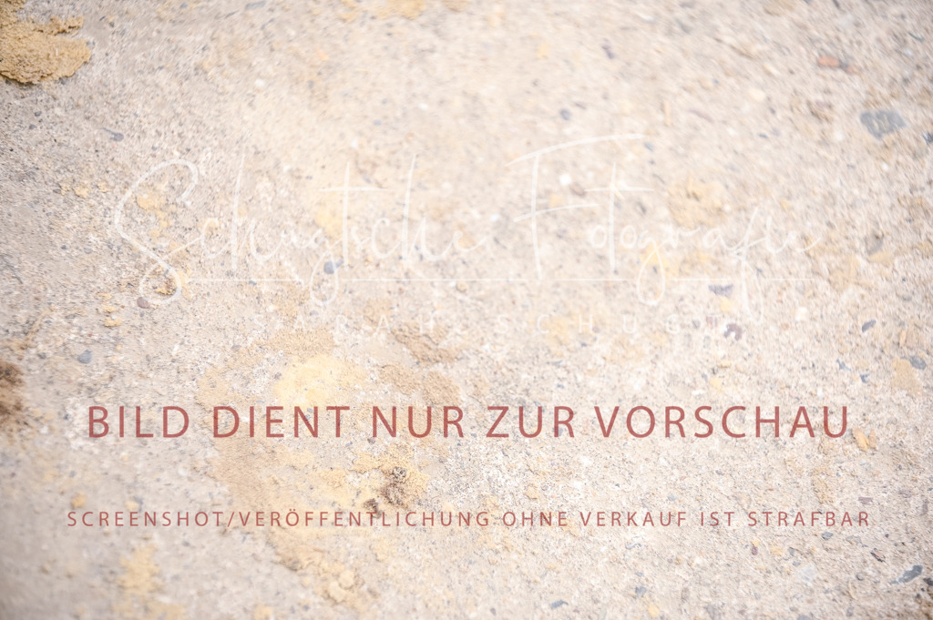 Schugtsche-Aluta25-42.EDressur -43 | Schugtsche Fotografie - Realizzato con Pictrs.com