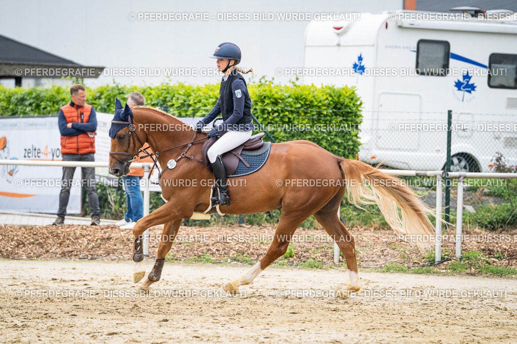 DSC00438 | Pferdegrafie