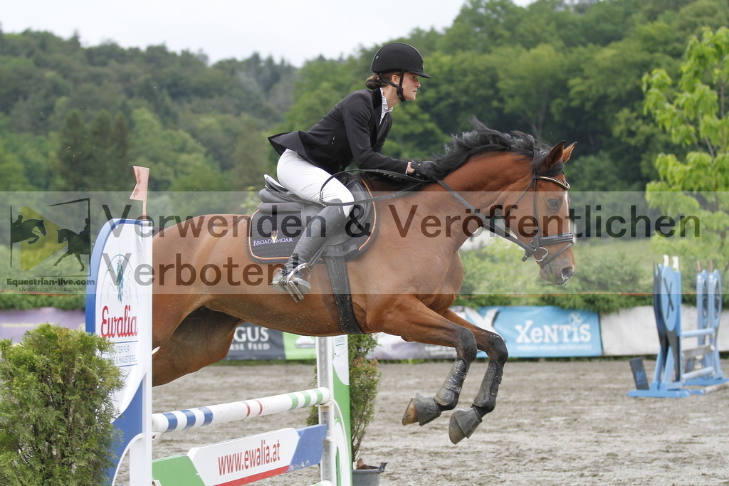 _MG_3682 | equestrian-live-com