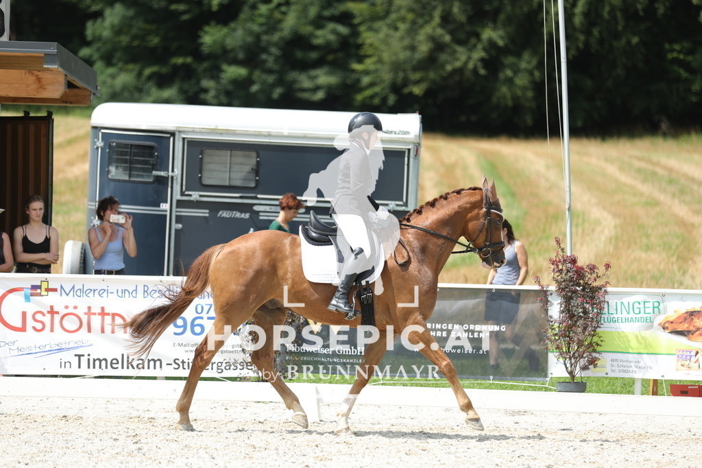 0P6A0593 | Willkommen bei Brunnmayr - Design & Fotografie – Ihrem Spezialisten für Reitturniere und Pferdeveranstaltungen in Oberösterreich, Salzburg und Bayern! Seit über 17 Jahren sind wir leidenschaftlich dabei.