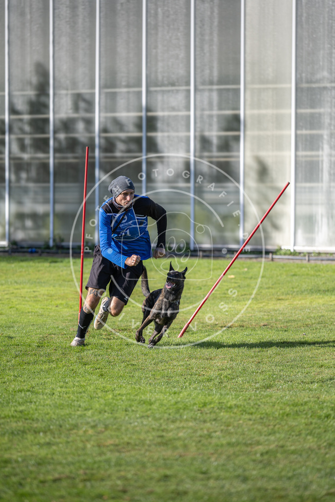 Pfotenfotografie.de_DV3A3372 | Hundefotografie, Tierfotograf, Pfotenfotografie, Fotoshooting Hund, Hunde Portrait, Hundesport, Hundeportraits, Heideshooting, Hunde, Sportfotograf, Hundefotograf, Turnierhundsport, THS, canicross - Realisiert mit Pictrs.com