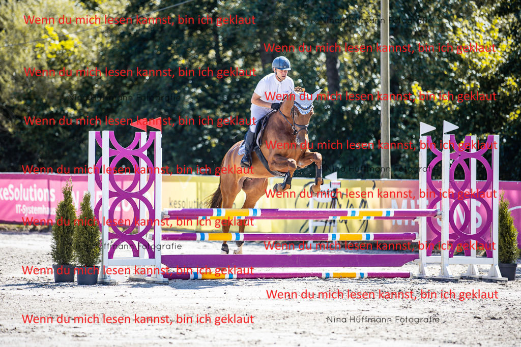 BK1A5497 | Turnierbilder Turnierfotos Nina Hüffmann Turnierfotografie Pferdefotografie Tierzeichnung Haustierzeichnung Pferdezeichnung Hundezeichnung Videograf  - Realisiert mit Pictrs.com