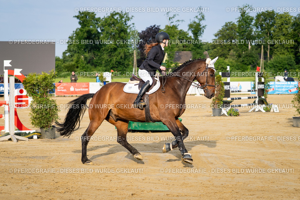 DSC02198 | Pferdegrafie