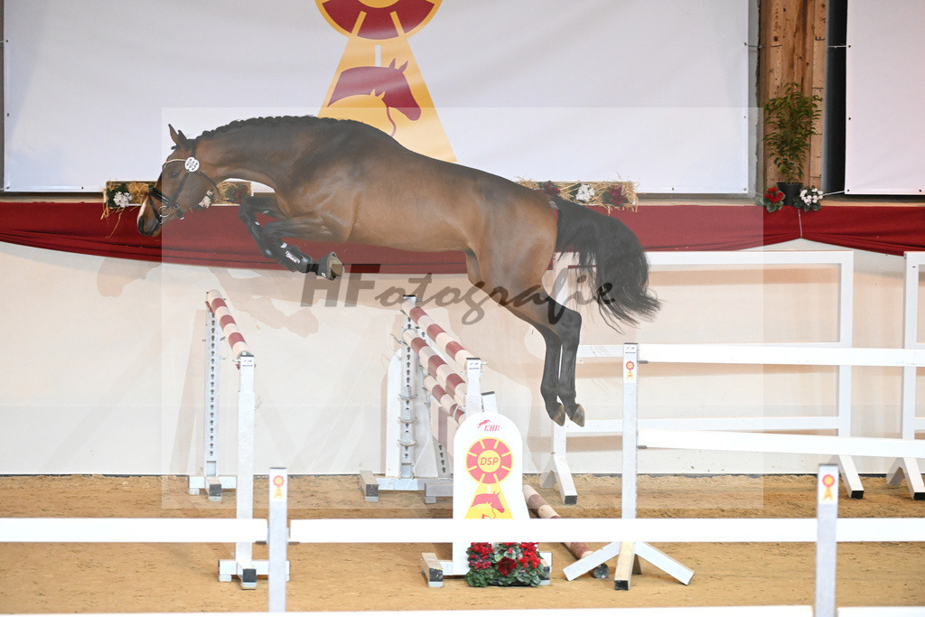 Kat-Nr. 5 Carrera VDL_Schep_1230756 | hf-fotografie - Realizzato con Pictrs.com