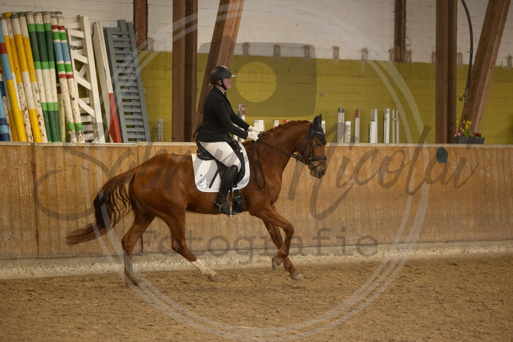 994A9389 | sabrinanicolaifotografie - Realisiert mit Pictrs.com