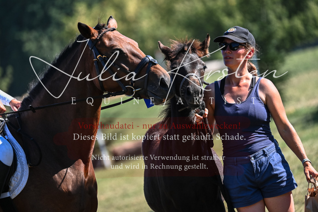 DSC_7018 | Pferde- und Turnierfotografie in Westsachsen. Pferdeportraits, Auftragszeichnungen und intuitive Kunst.