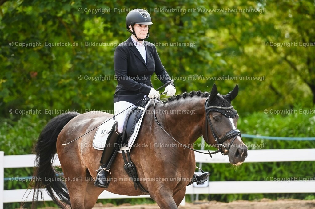 20230715_07_Dressurpferdeprfg. Kl.L_0131 | equistock