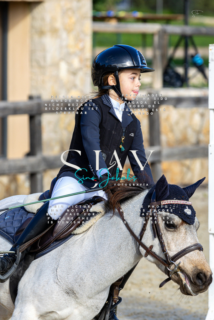 IMG_0456 | s-jay-photography - Realisiert mit Pictrs.com