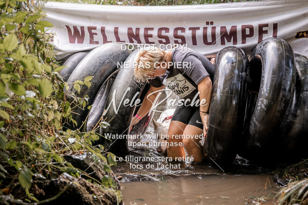 nelerasche_Hunsrück2026_Sa1400-1500_272 | nelerasche