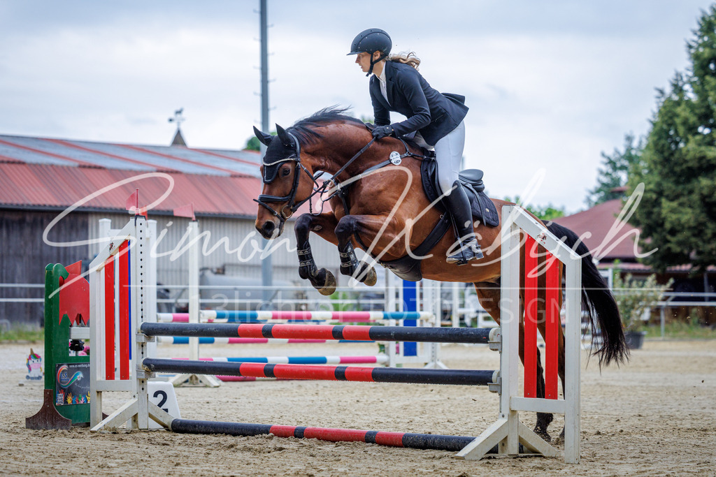 20260705-_3LI3444 | Tierfotografie Pferde, Hunde, Katzen, Haustiere.
Turnierfotografie Reitturniere, Reiten, Springreiten, Dressur in Hanau, dem Main-Kinzig-Kreis und dem Rhein-Main- Gebiet um Frankfurt