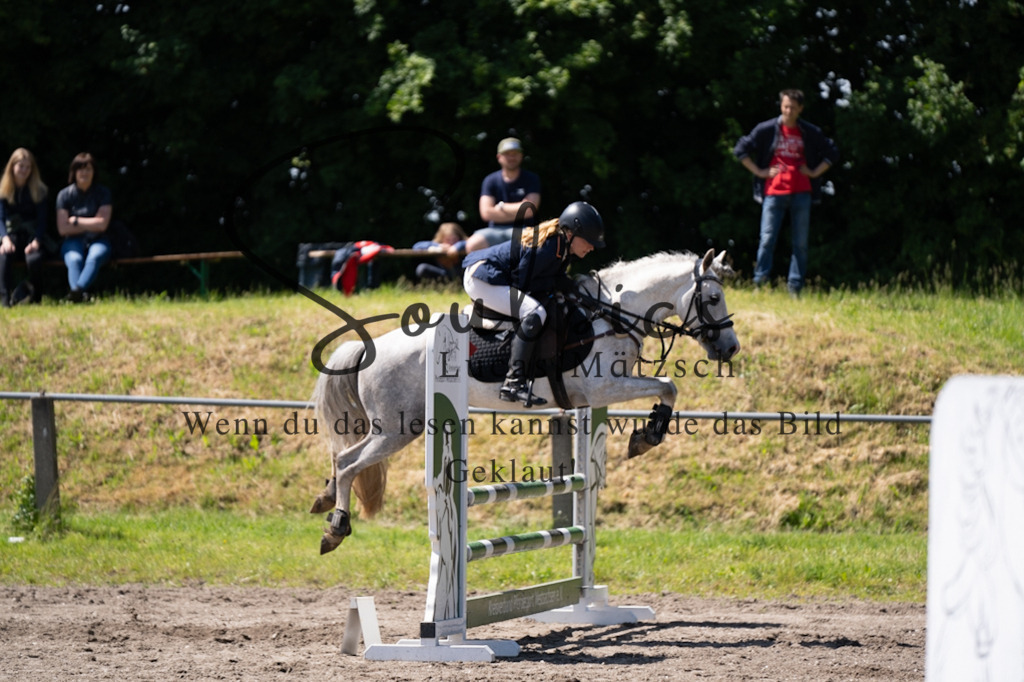 A7V04303 | Pferdefotograf