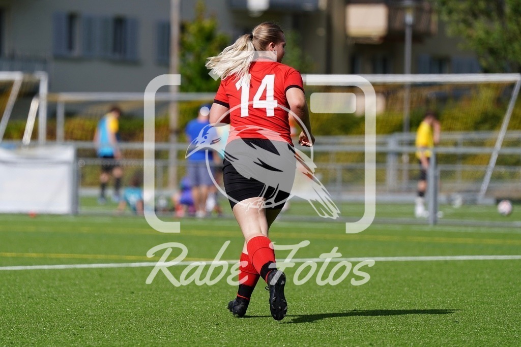 SON09309 | rabefotos