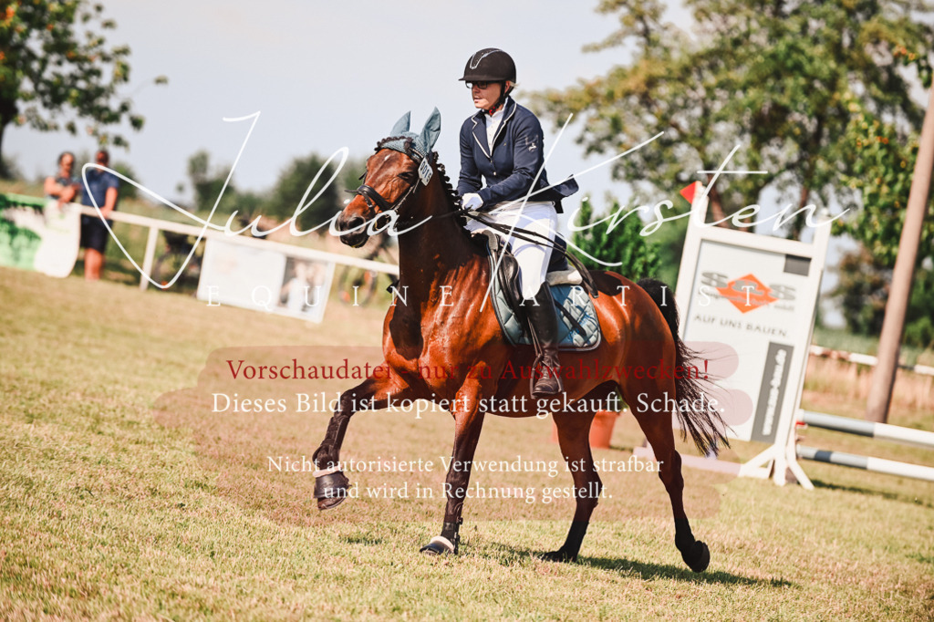 DSC_7378 | Pferde- und Turnierfotografie in Westsachsen. Pferdeportraits, Auftragszeichnungen und intuitive Kunst.