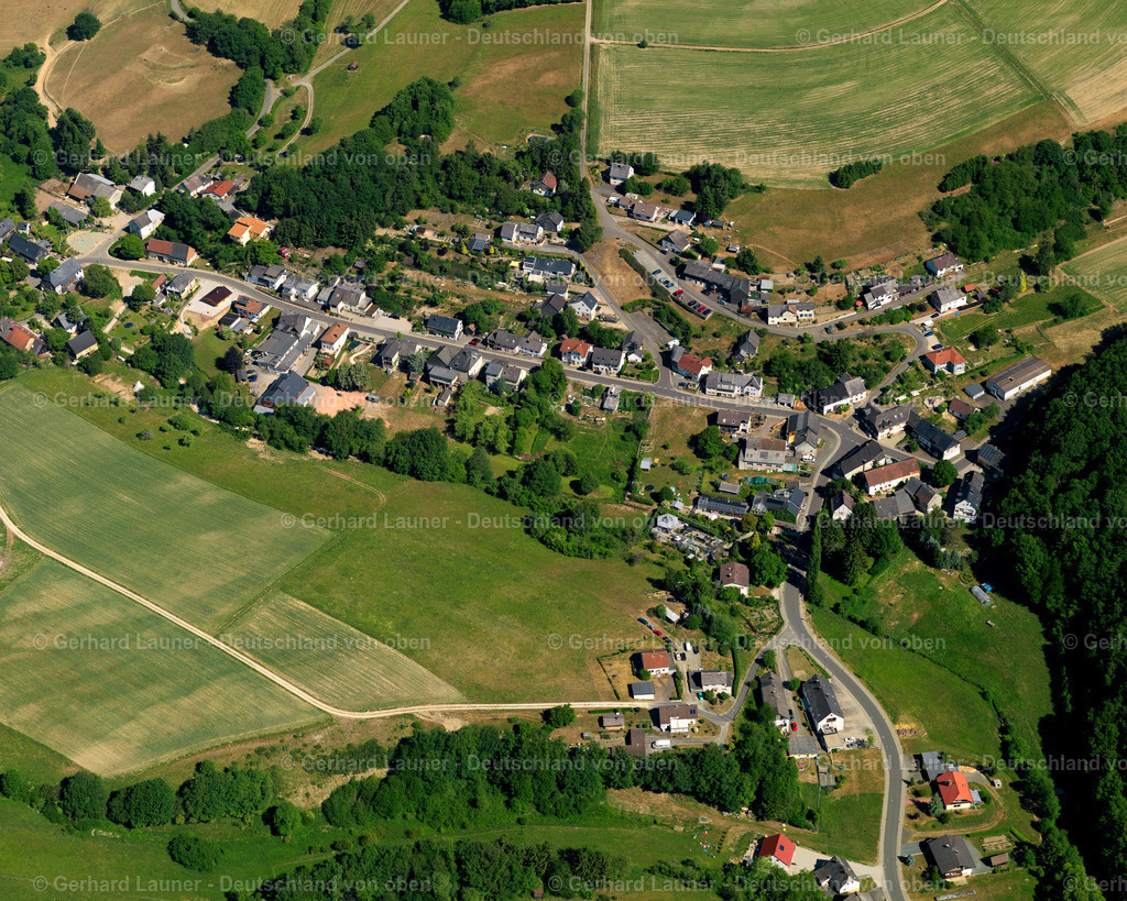 Leisel-3111577 | Leisel