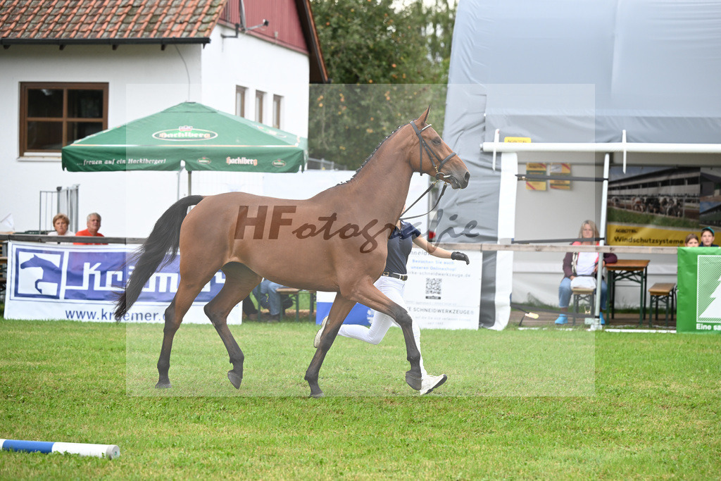 Kat-Nr. 18 Verona M v. Vingino_Zuchthof Meindl_30250371 | hf-fotografie - Realisiert mit Pictrs.com