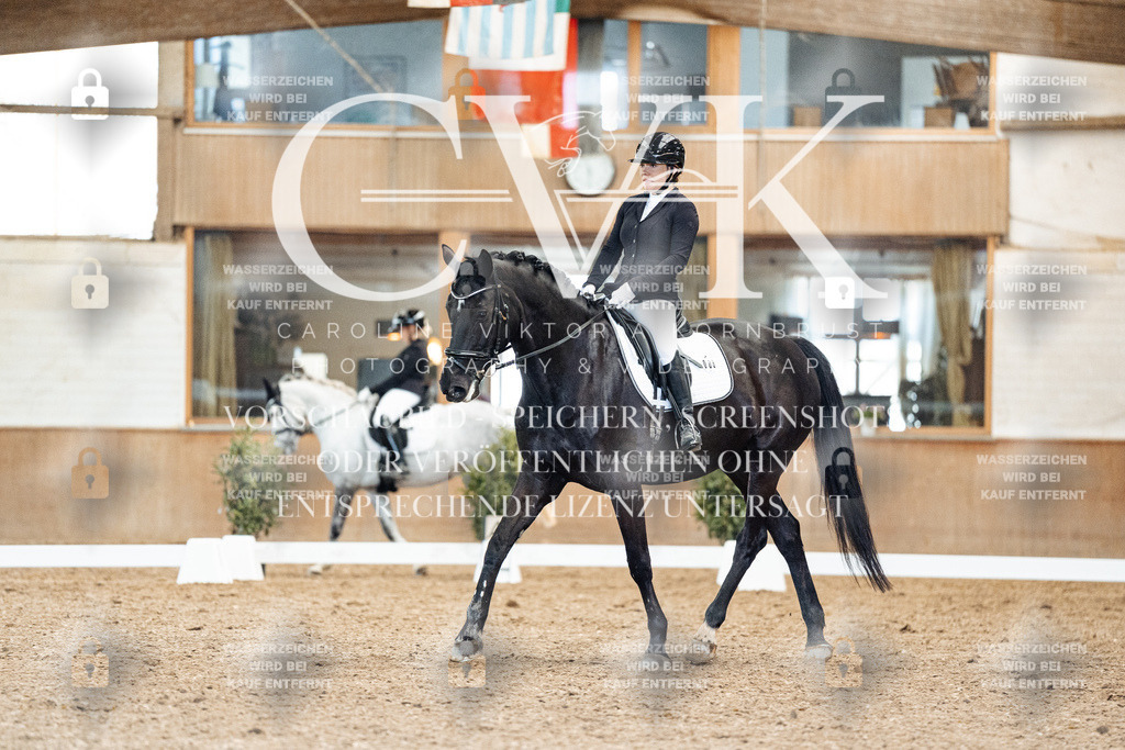 CK909537 | Turnierfotografie Pferdefotografie Trier Rheinland-Pfalz Pferdesport Reitsport Tierfotografie Sportfotografie Pferdevideo Pferdevideografie Equestrianvideography equestrianphotography  - Realisiert mit Pictrs.com